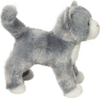 Scatter Gray Cat