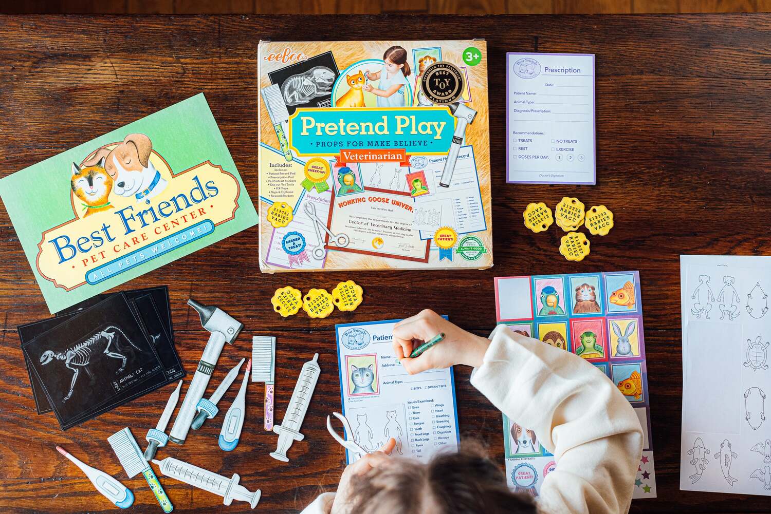 Veterinarian Pretend Play Set