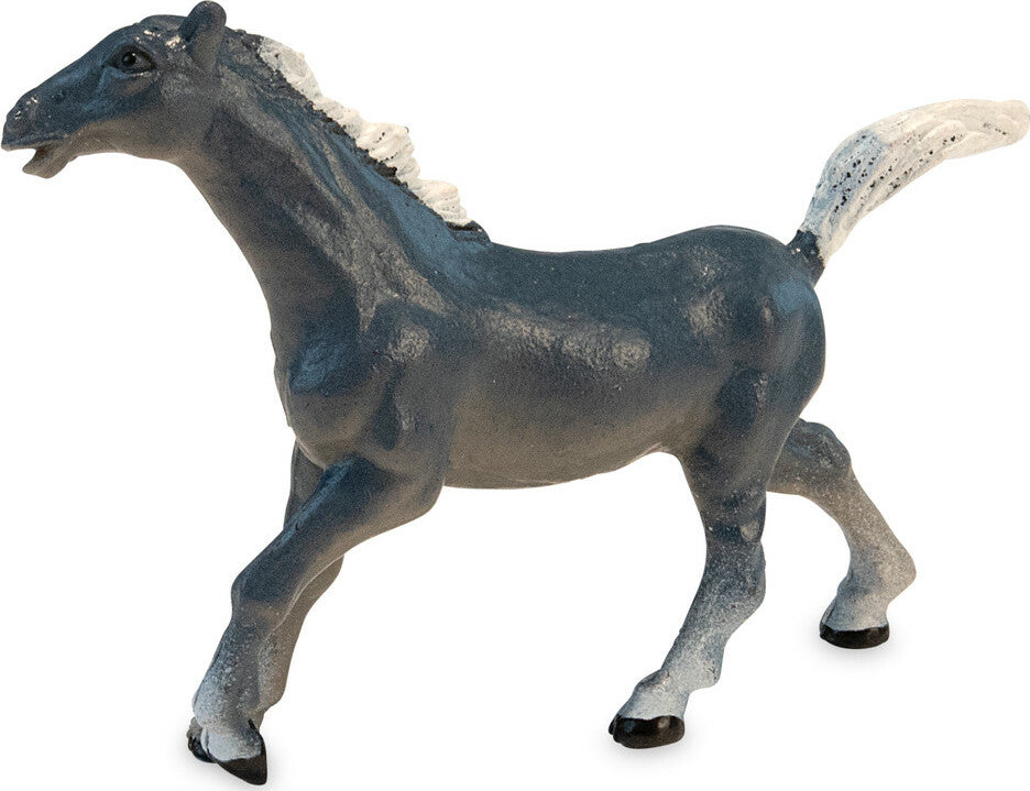 Dig It Up! Discoveries: Horses