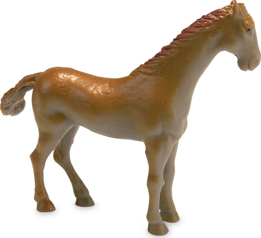 Dig It Up! Discoveries: Horses