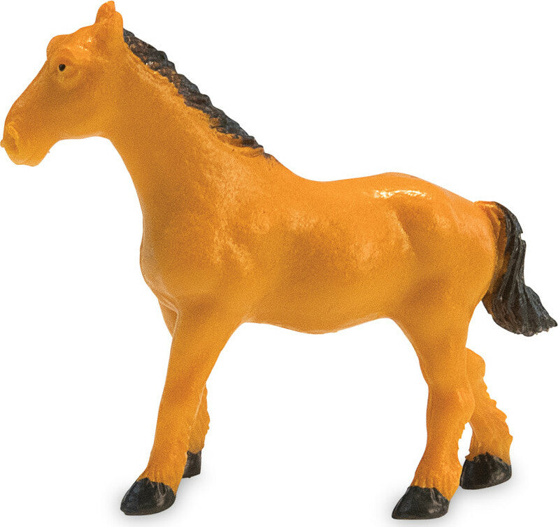 Dig It Up! Discoveries: Horses