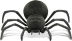 Spooky Spider