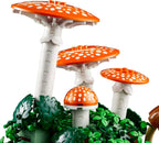 BOTANICALS Woodland Mushrooms