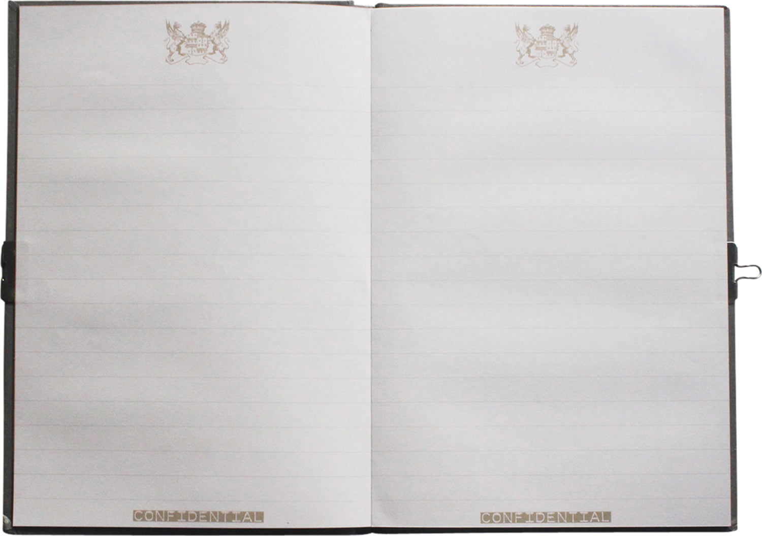 My Diary - Top Secret